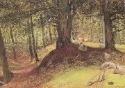 Richard Redgrave,RA Parkhurst Woods,Abinger (mk46) oil painting picture wholesale